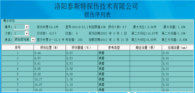 便攜型鋼絲繩探傷儀檢測(cè)報(bào)告損傷序列表